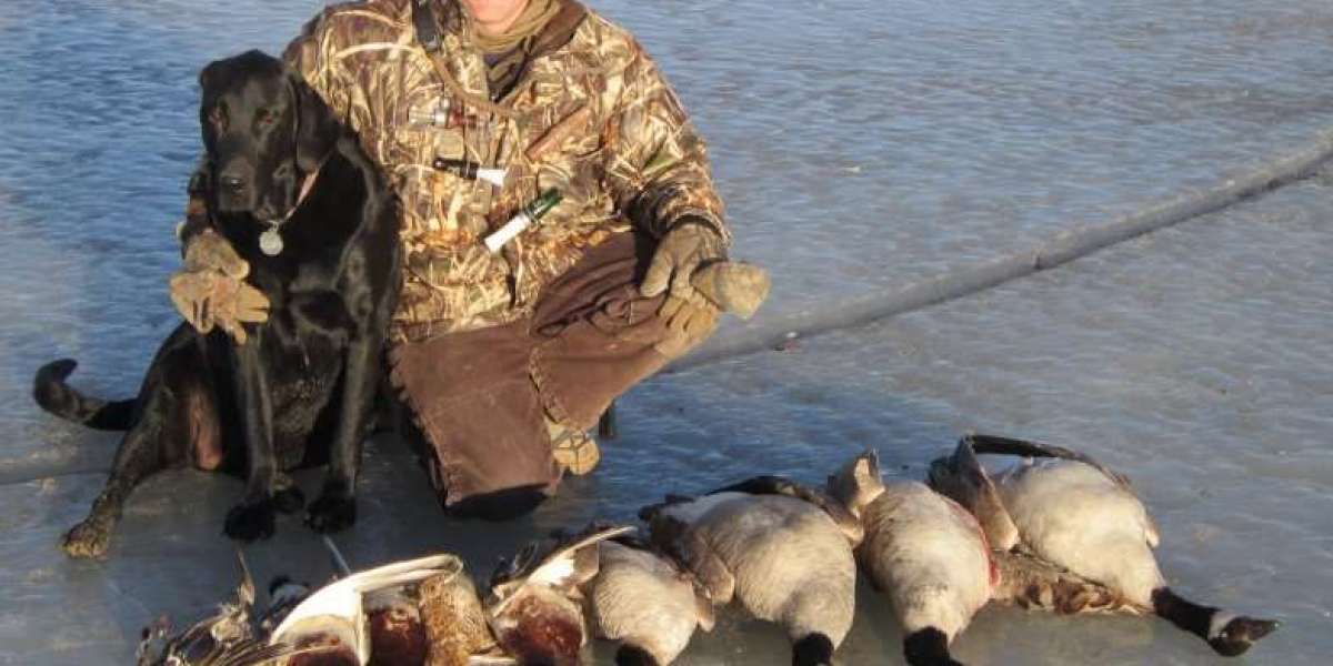 Find the Best Outdoor Duck Hunting Locations in Colorado with Birds and Bucks