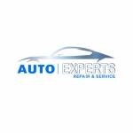 Auto Experts UAE profile picture