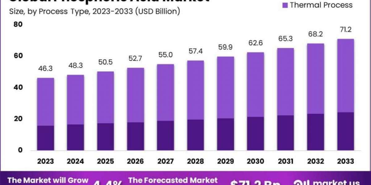 Phosphoric Acid Market Growth Factors: Investment Opportunities and Risks