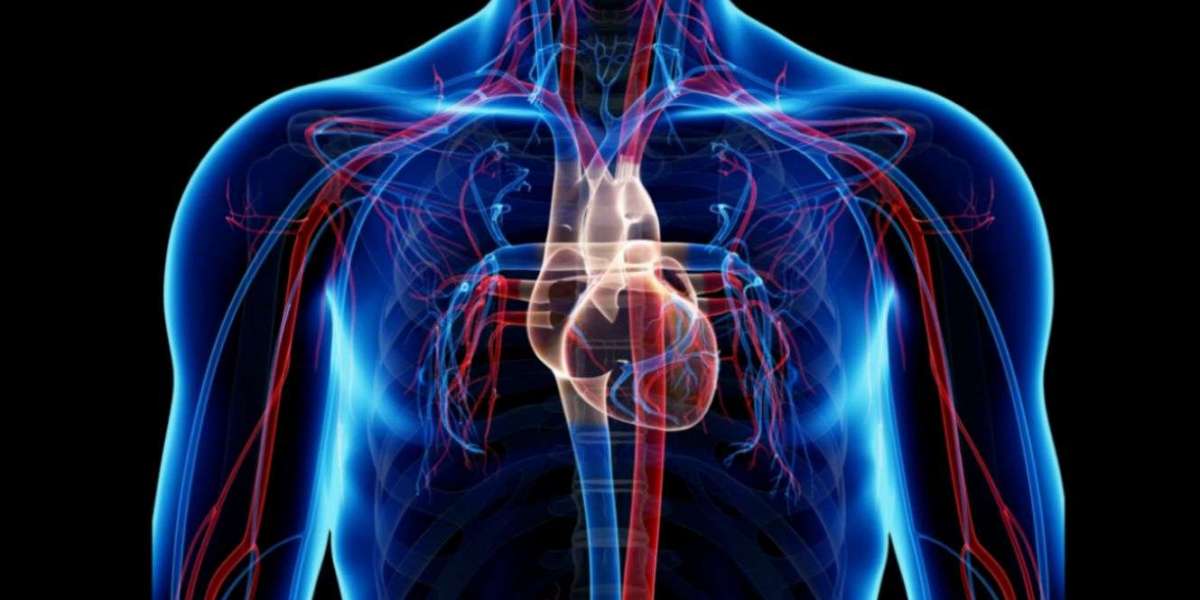 Cardiovascular Devices Market Share, Size, Analysis, Growth, Industry Statistics and Forecast 2034