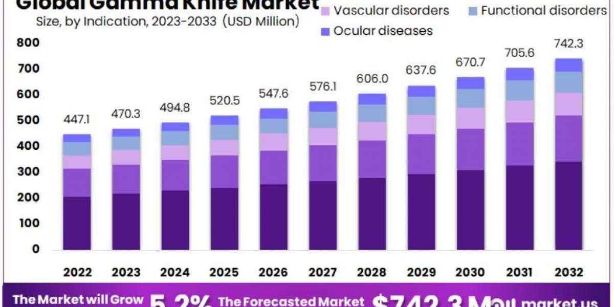 Gamma Knife Market Insights 2024-2033: Future Developments and Innovations in Radiosurgery