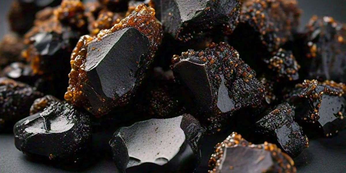 How Does Purely Natural Shilajit Differ from Other Supplements?