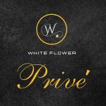 Prive By White Flower profile picture