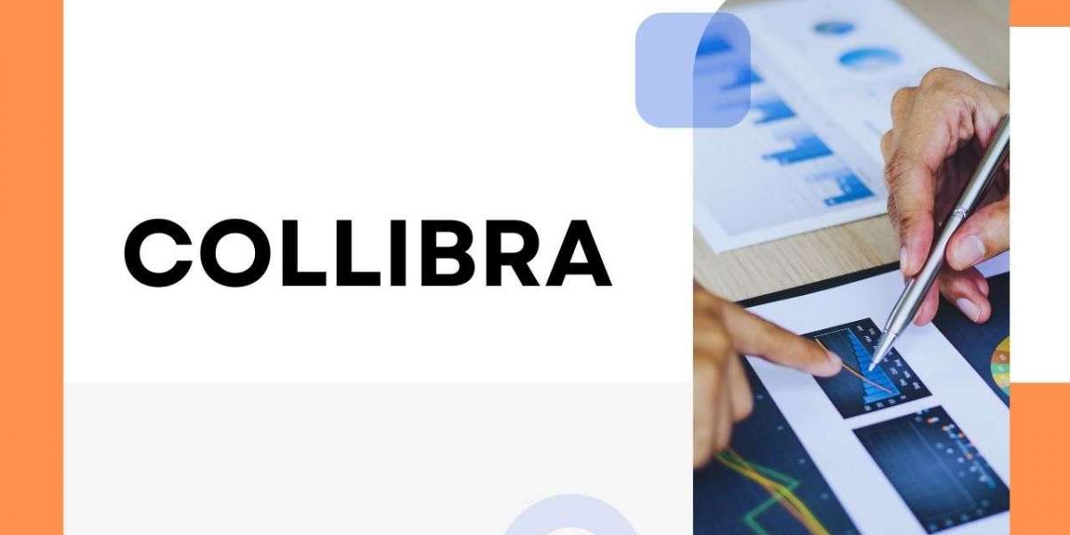 Unlocking the Power of Data Governance with Collibra: