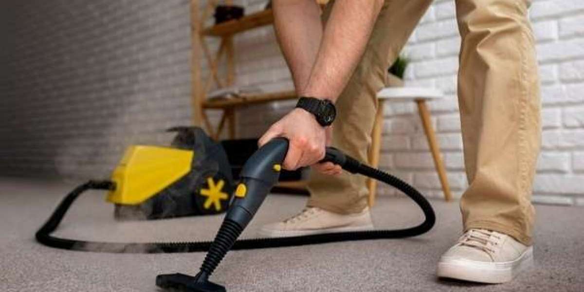 The Importance of Professional Carpet Cleaning in Oakville