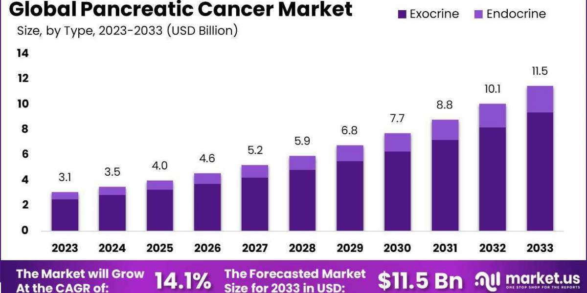 Pancreatic Cancer Market Overview: Key Drivers and Challenges in the Global Market 2024-2033