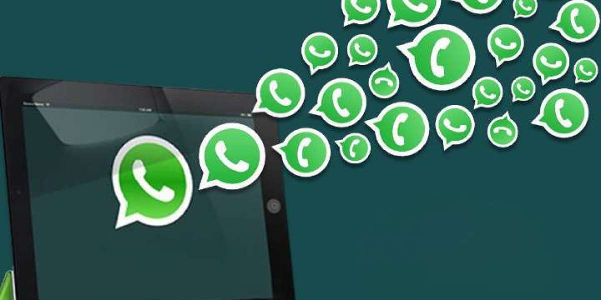 The Power of WhatsApp Status Updates for Marketing in Delhi