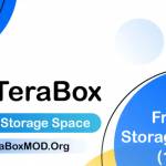 terabox mod profile picture