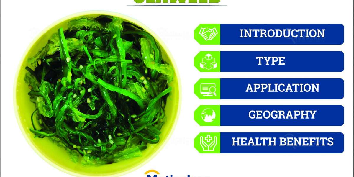 Europe Seaweed Market Growth: How Consumer Preferences are Shaping the Sector