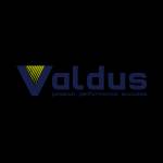 One Valdus Co Ltd Profile Picture