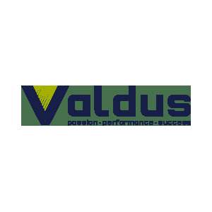 One Valdus Co Ltd Profile Picture