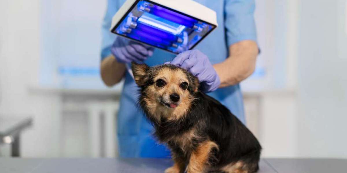 Veterinary Monitoring Equipment Market Forecast: Projections and Growth Opportunities and 2024 Forecast Study