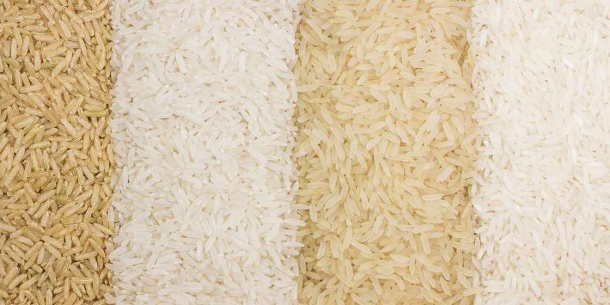 Discover the World of Premium Grains: Basmati and Arborio Rice for Sale