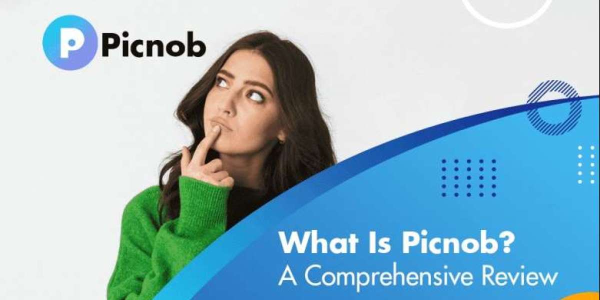 The Rise of Picnob: A Deep Dive into Its Origins and Significance