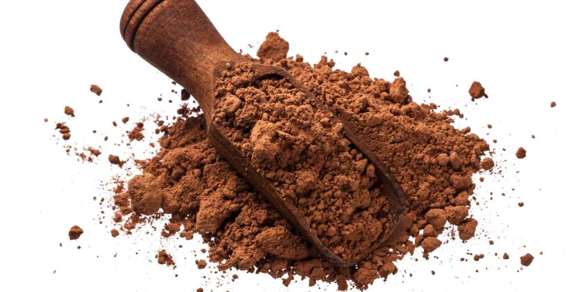 Cost Analysis for Setting up a Chocolate Powder Manufacturing Plant | Report by IMARC Group