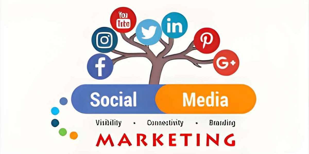 Comprehensive Report Reveals Key Insights and Growth Projections for the Social Media Management Market 2024-2032