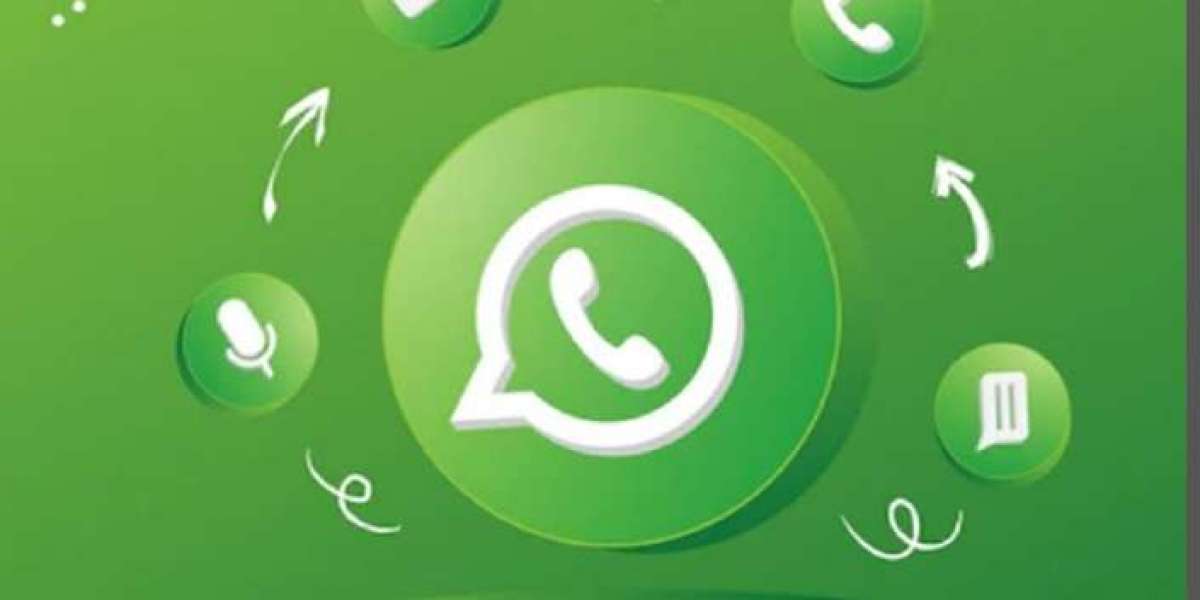 Boosting Your Delhi Startup with Effective WhatsApp Marketing