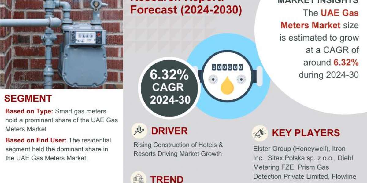 United Arab Emirates Gas Meters Market Opportunities, Drivers, Trends, and Forecasts by 2030