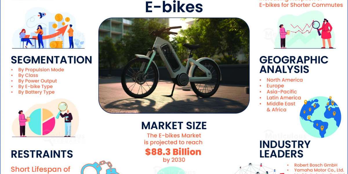 E-bikes Market Dynamics: Impact of Government Policies and Incentives