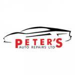 peters auto Profile Picture