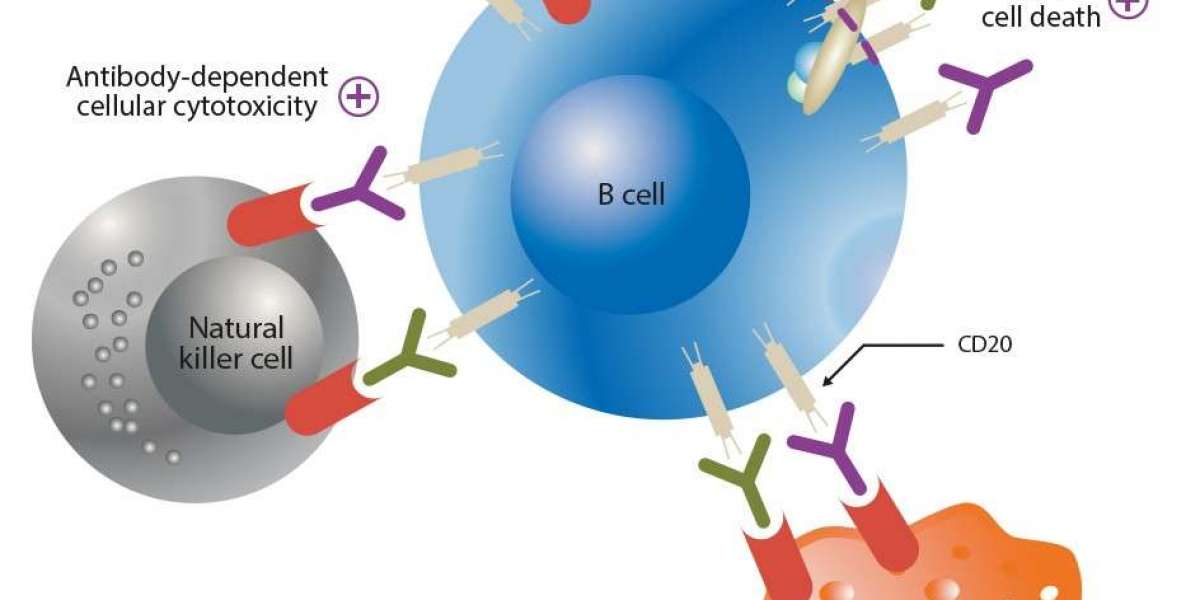 Obinutuzumab Market Growth and Status Explored in a New Research Report 2034