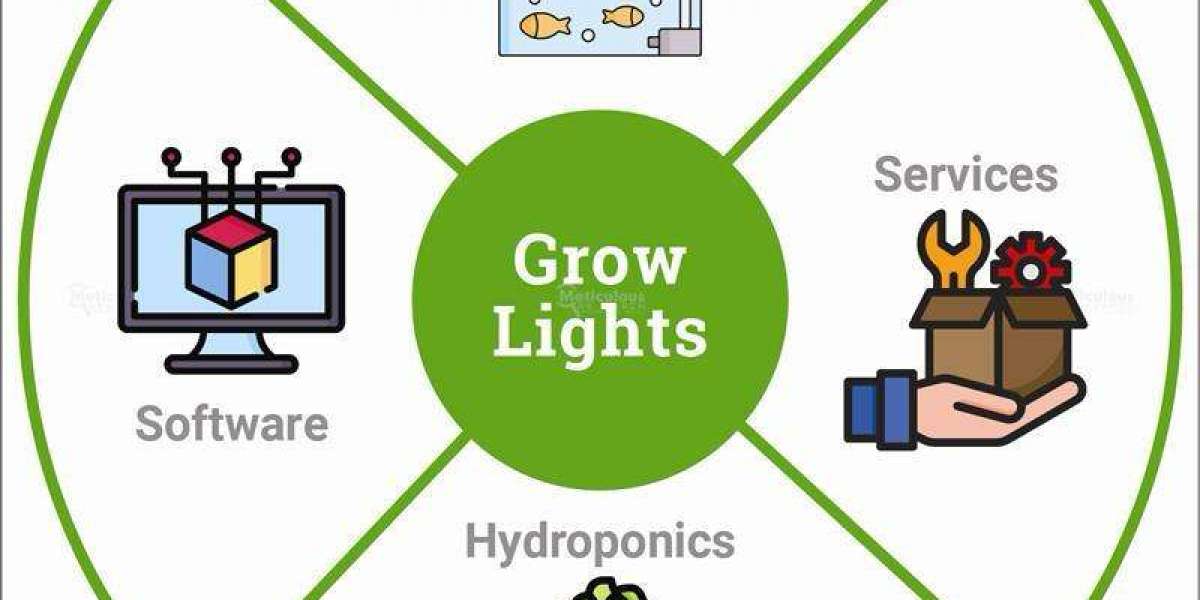 Grow Lights Market: The Role of Controlled Environment Agriculture in Market Expansion