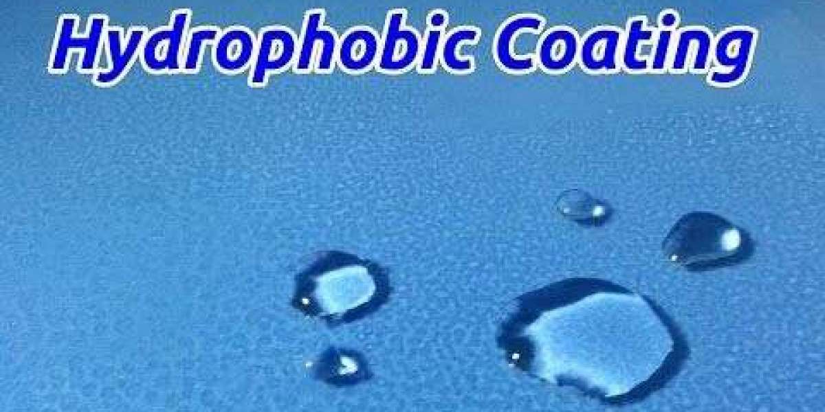 Hydrophobic Coatings Market Size, Share, Challenges and Growth Analysis Report 2033