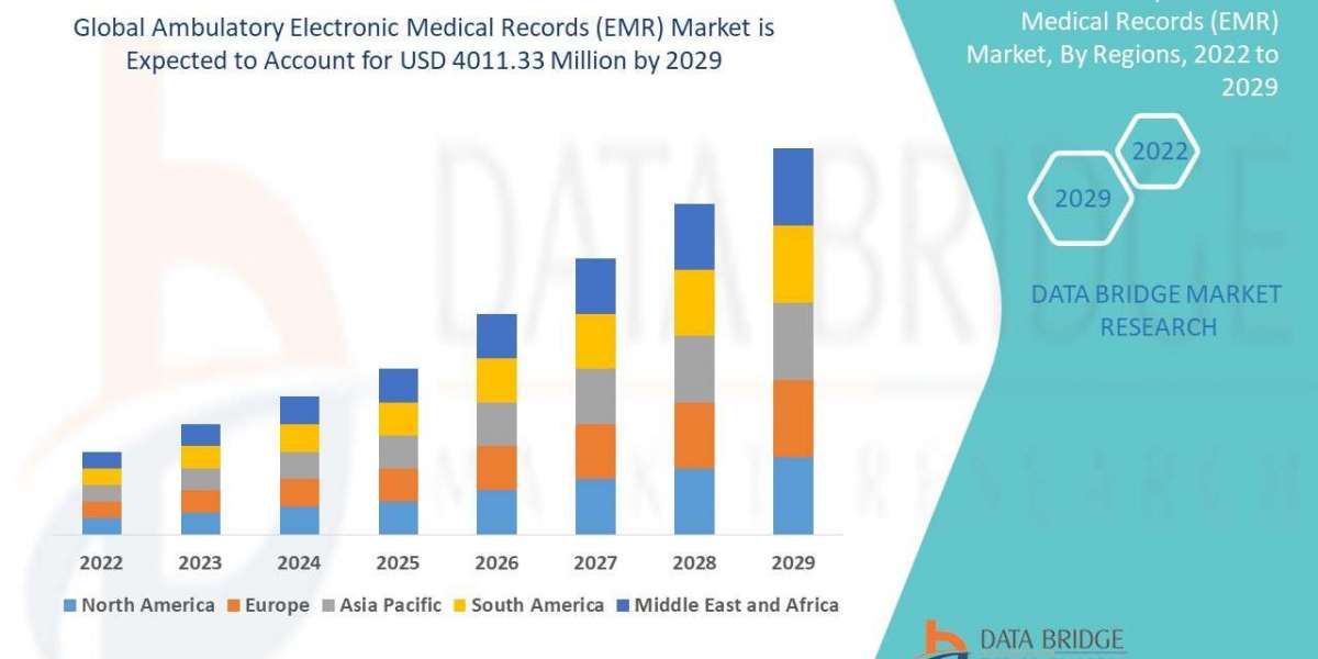 Ambulatory Electronic Medical Records (EMR)  Market Size, Share, Trends, Demand, Growth and Competitive Outlook