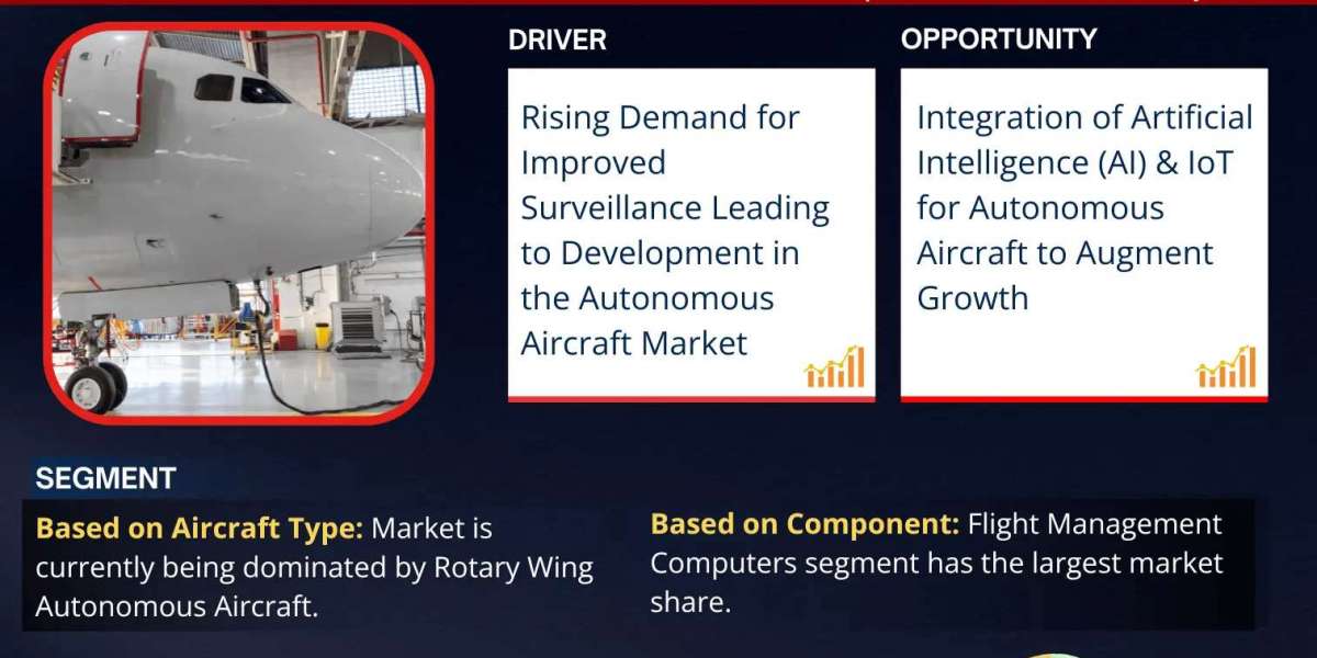 Global Autonomous Aircraft Market Expanding at a CAGR of 15.2% during 2024-2030