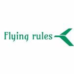 Flying Rules profile picture