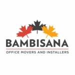 Bambisana Office Movers Installers profile picture