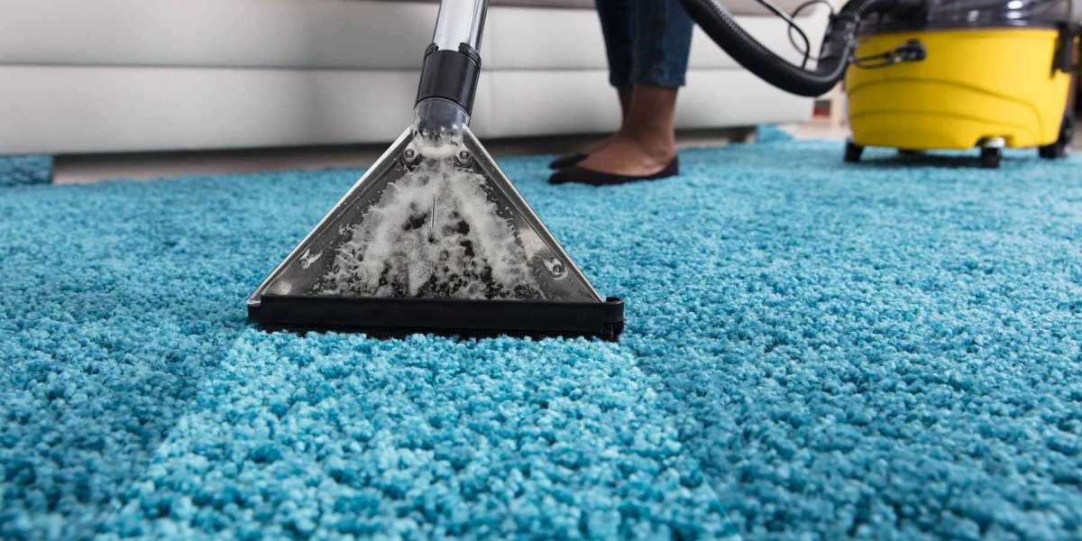 Professional Carpet Cleaning: The Smart Choice for Every Homeowner