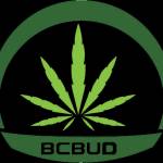 Bcbud kw Profile Picture