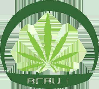 Bcbud kw Profile Picture