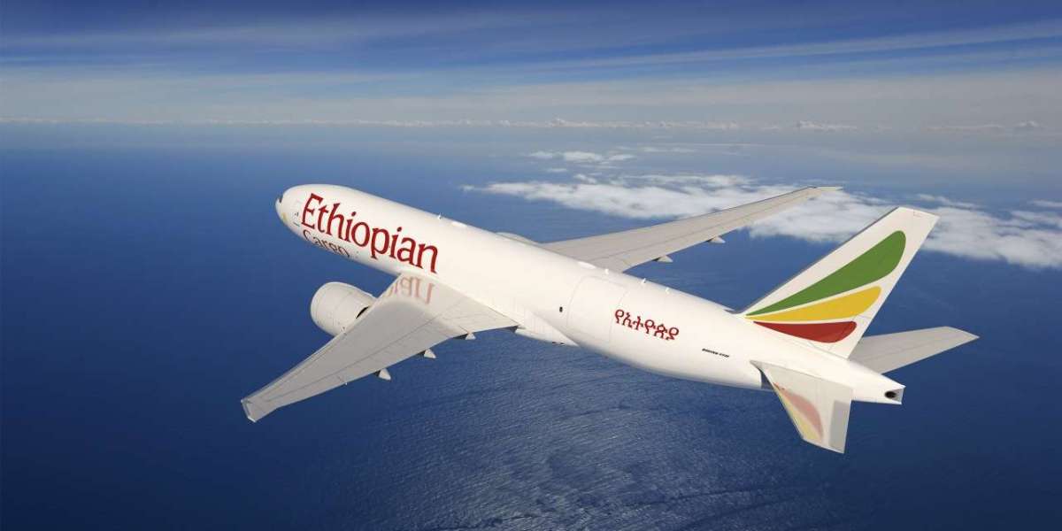 Ethiopian Airline Infant Ticket