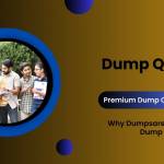 Dump Questions Profile Picture