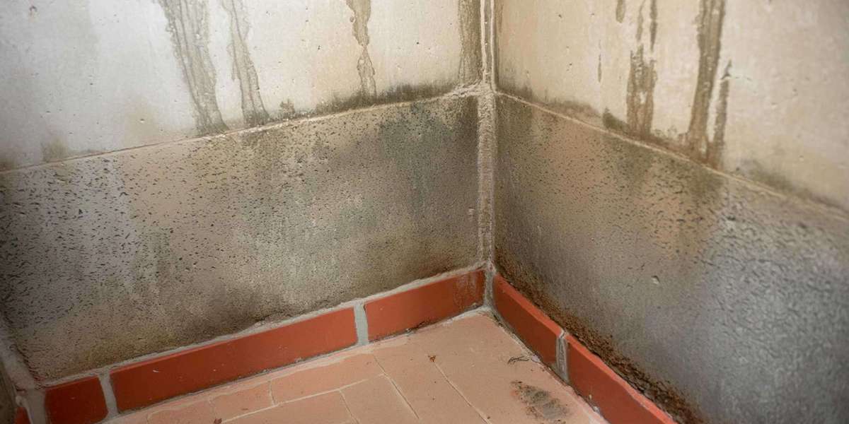 Absorbing Moisture in Basements: Effective Solutions with Renodry US