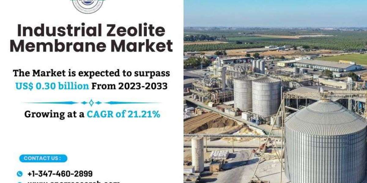 Industrial Zeolite Membrane Market Share, Growth Drivers, Key Players, Business Opportunities, Challenges, and Future Ou