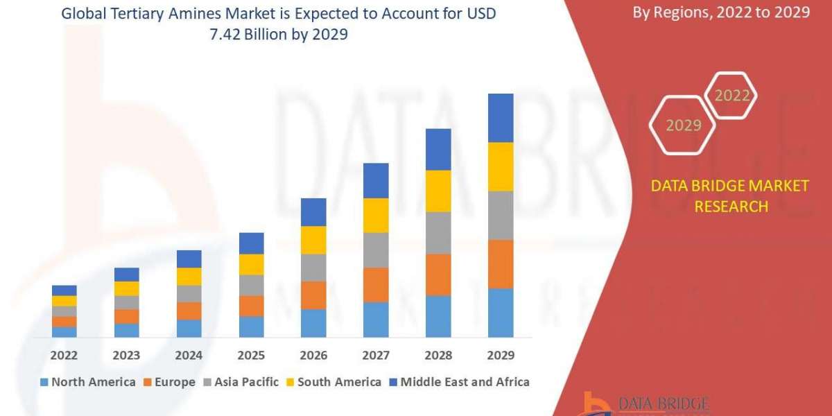 Tertiary Amines Market Size, Share, Trends, Industry Growth and Competitive Outlook