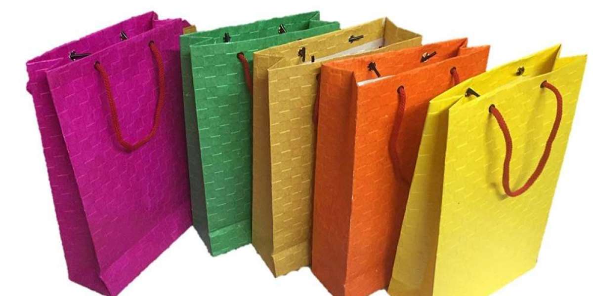 Paper Bags Market Application and Industry Forecast Report 2028