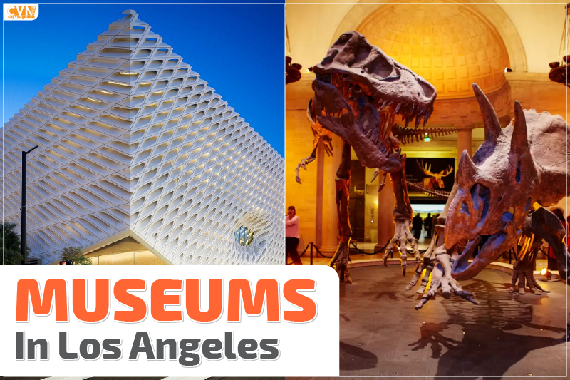 Top Museums in Los Angeles for an Insightful Trip