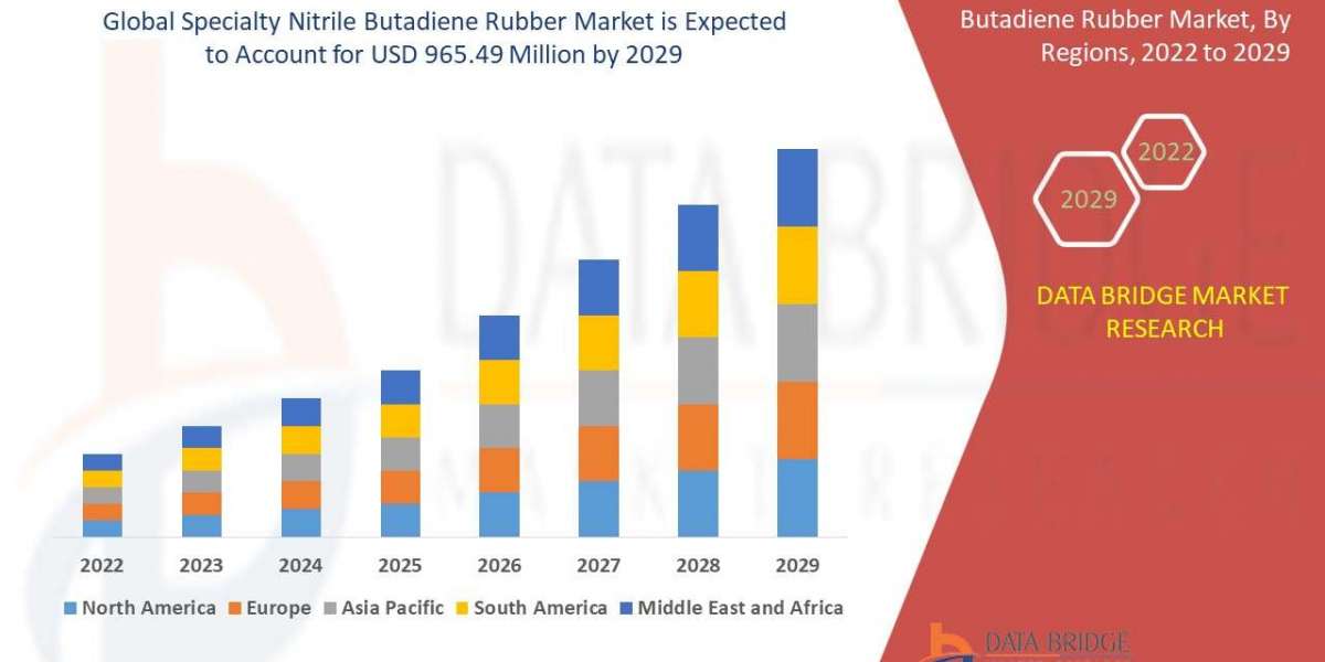 Specialty Nitrile Butadiene Rubber Market Size, Share, Trends, Demand, Growth and Competitive Analysis