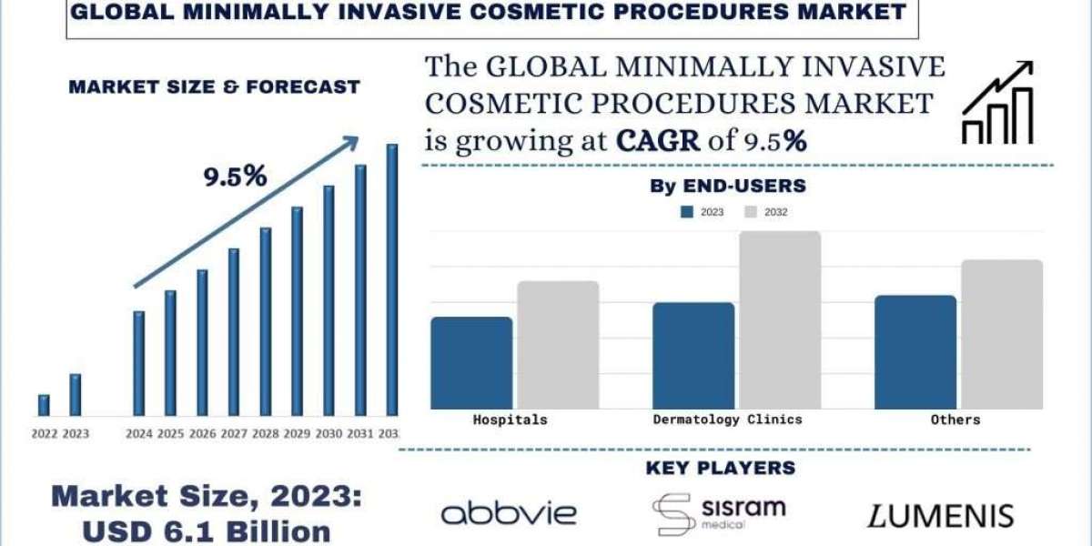 Minimally Invasive Cosmetic Procedures Market Analysis by Size, Share, Growth, Trends, Opportunities and Forecast (2024-