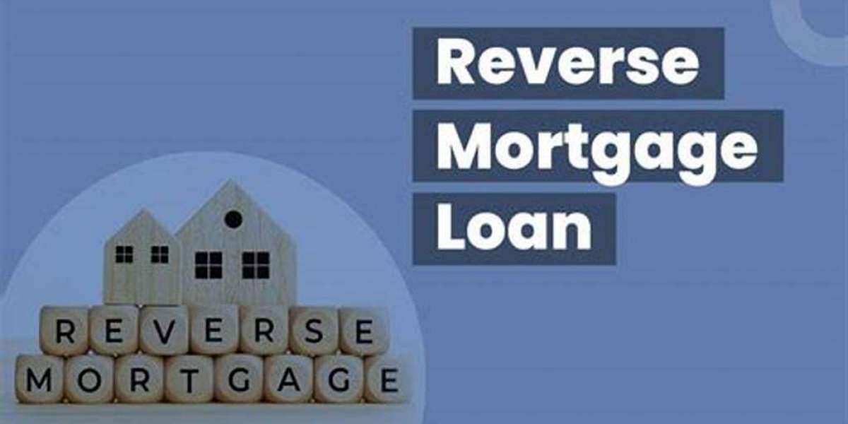 Standard Lenders What is a Reverse Mortgage?