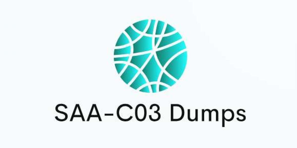 How to Use SAA-C03 Dumps for Exam Day Preparation