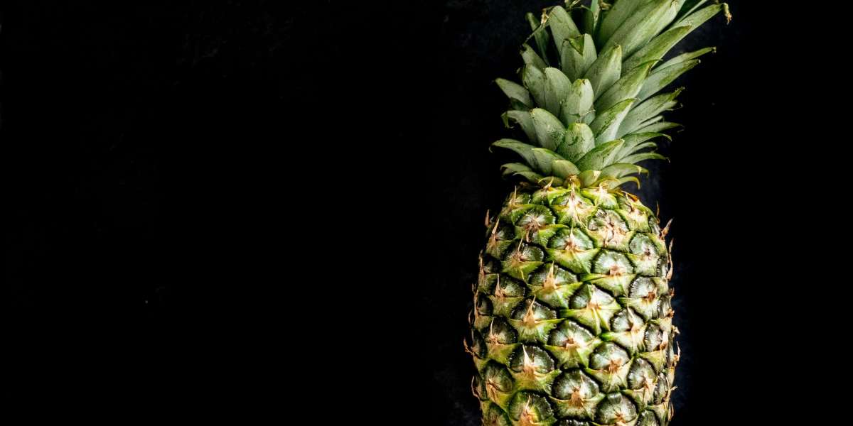 Pineapple plant: How to grow and care for plante Ananas