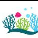 Reefstore AS Profile Picture