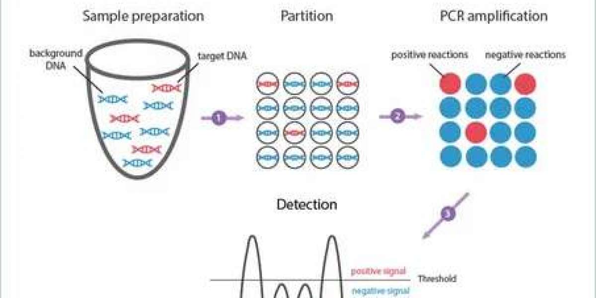 Digital PCR Market Scenario, Growth and trends Report 2033