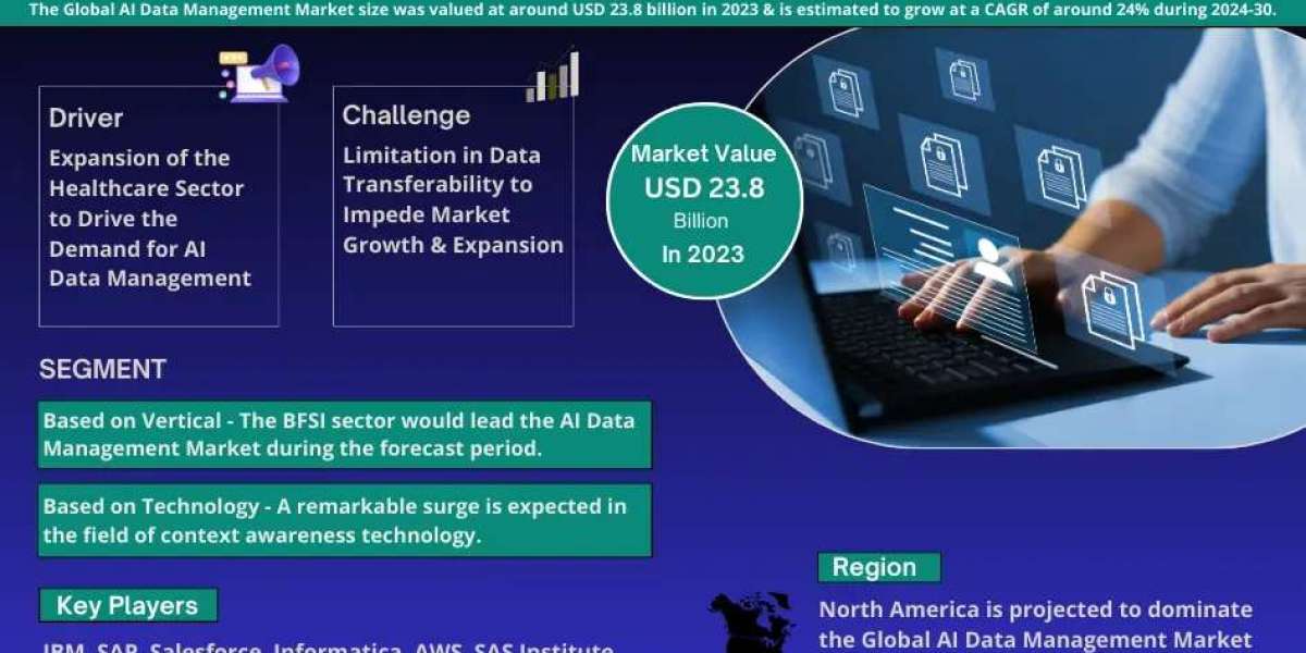 Global AI Data Management Market Expanding at a CAGR of 24% during 2024-2030