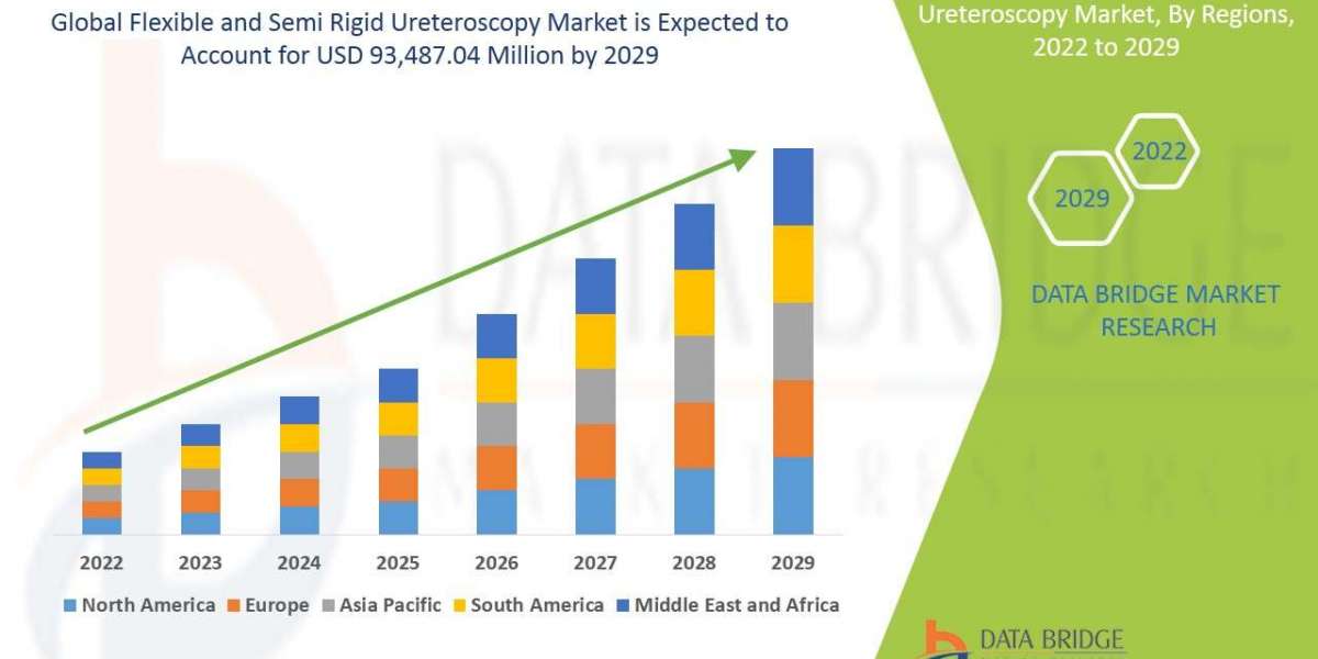 Flexible and Semi Rigid Ureteroscopy Market Size, Share, Trends, Growth, Opportunities and Competitive Outlook